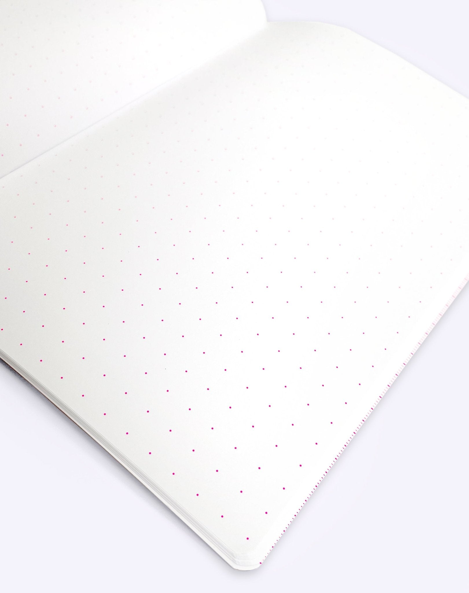 Notebook - Cheeky Notes A5 – Dick - Dicks Don't Lie - CNODICOCA5