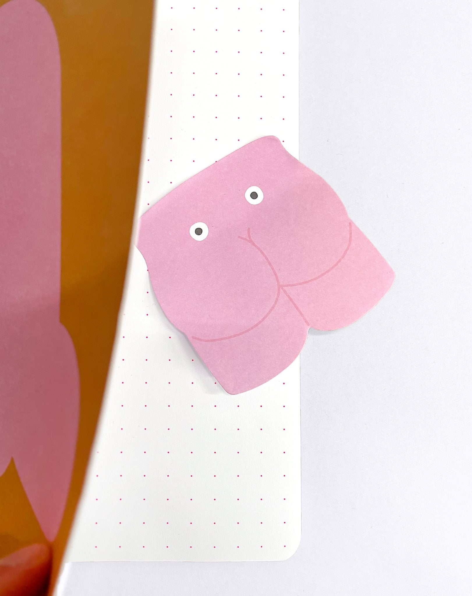 Sticky Notes - Memo Notes – Sticky Bums - Dicks Don't Lie - MEMSTBCPOS