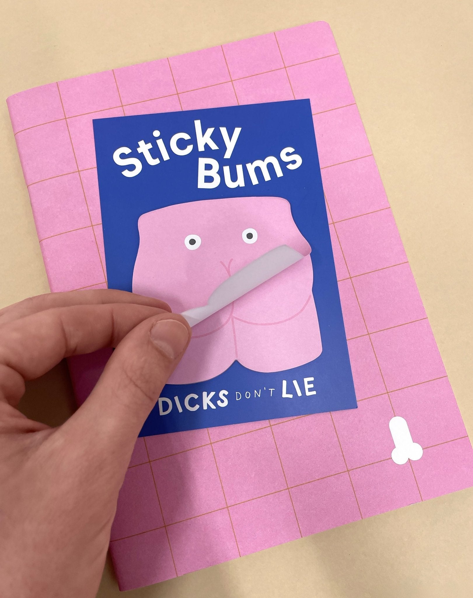 Sticky Notes - Memo Notes – Sticky Bums - Dicks Don't Lie - MEMSTBCPOS