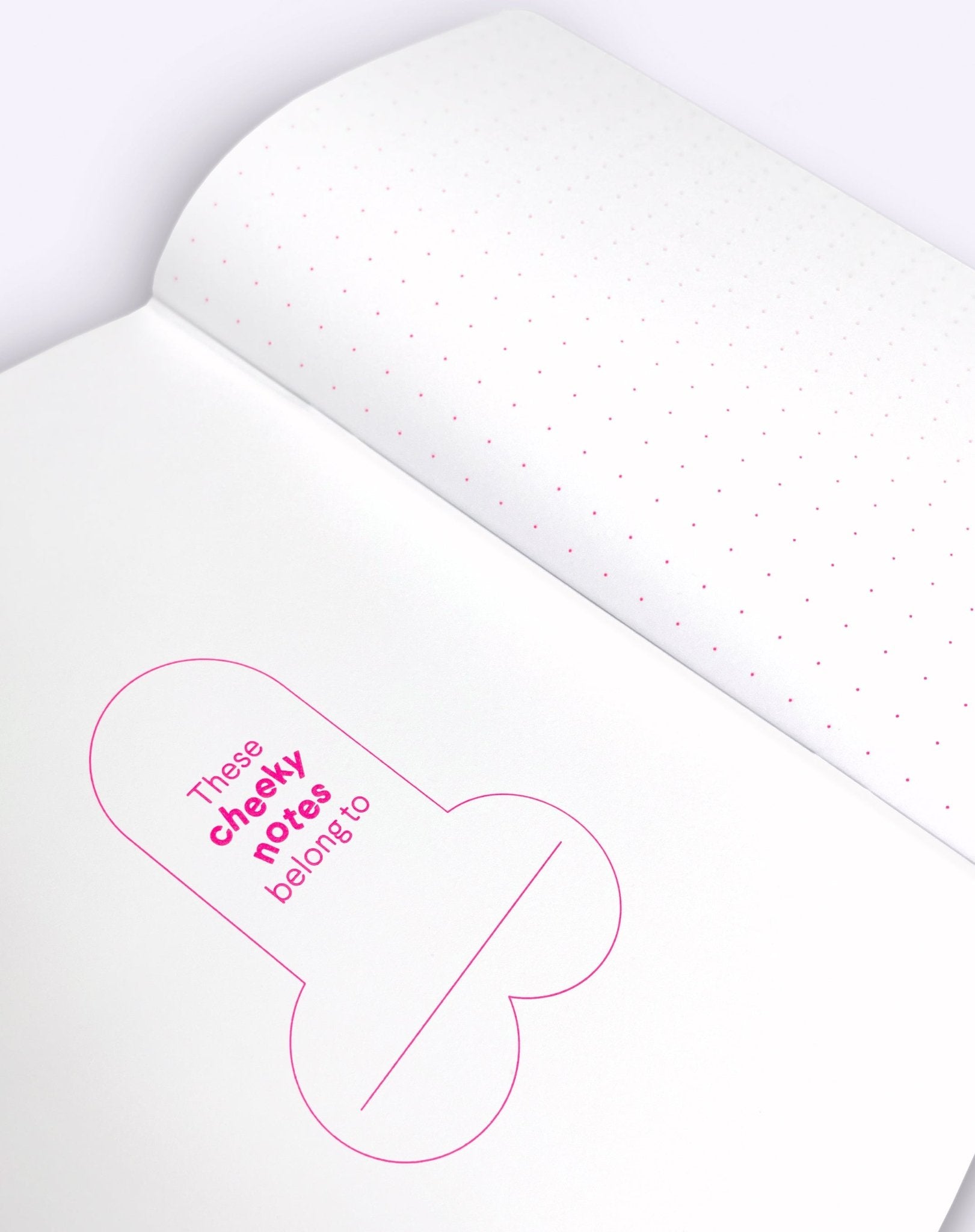 Notebook - Cheeky Notes A5 – Dick - Dicks Don't Lie - CNODICOCA5