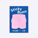 Sticky Notes - Memo Notes – Sticky Bums - Dicks Don't Lie - MEMSTBCPOS